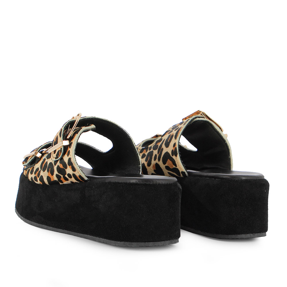 /Images/Products/755000255205-LEOPARD-3.jpg