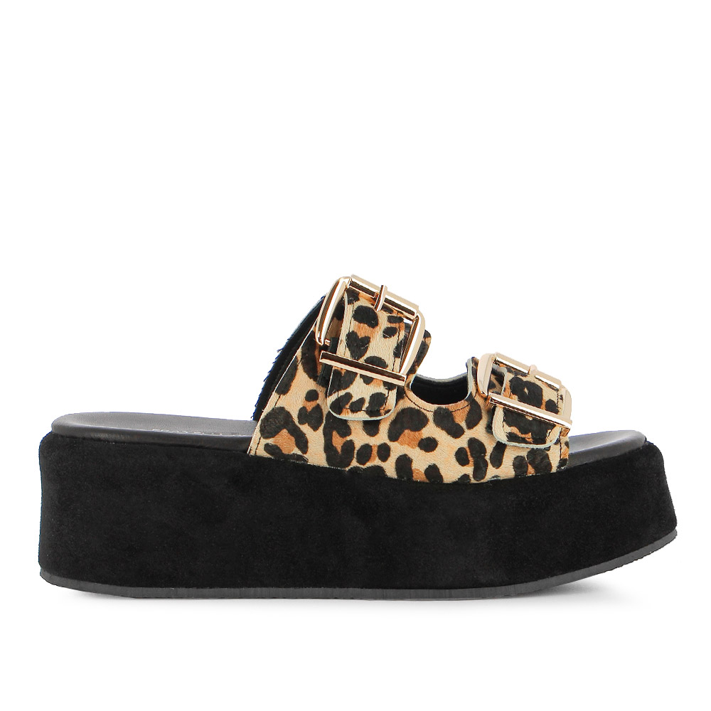 /Images/Products/755000255205-LEOPARD.jpg